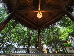 -观唐（国际）度假村温泉