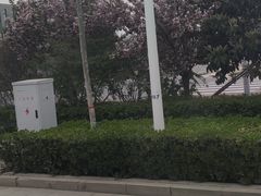 -佰运猪蹄(高陵店)