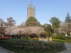 -堤角公园