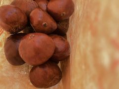 -栗满秋(燕丰西坝河店)