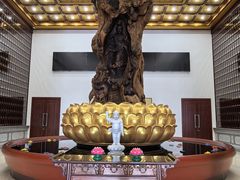 -江阴君山寺