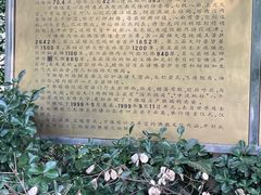 -焦山景区-万佛塔