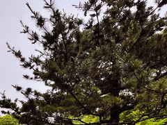 -杭州半山国家森林公园