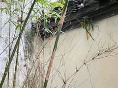 -绍兴大禹开元观堂-若耶厅