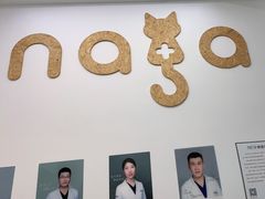 -纳吉亚猫专科动物医院·北北分院