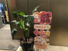 -滇铺子·云南特色菜·第九届野生菌美食节(东风东路c86店)