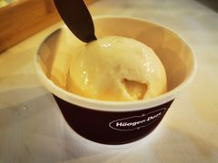 哈根达斯香草味雪糕球-夏羽记甜品(小榄大信店)