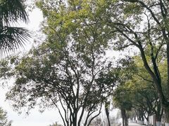 -团城山公园