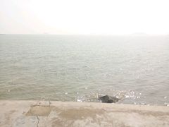 -野狸岛