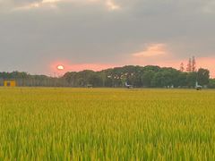 -嘉北郊野公园