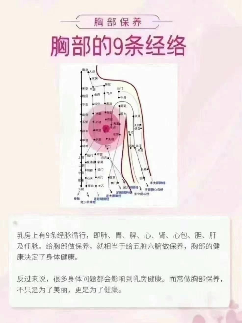 胸上九条经络图图片