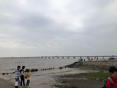-南汇新城海滩