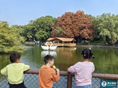 -深圳野生动物园