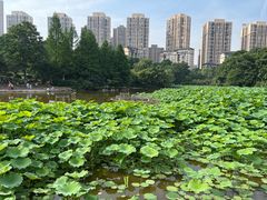 -龙头寺公园