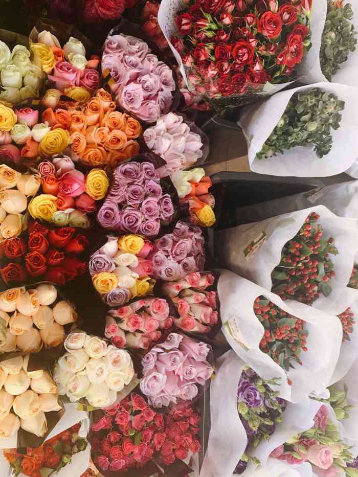 八卦岭花卉中心-"地铁到红岭北下,但是下地铁要走800米左.