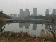 -同庆楼(天鹅湖万达店)