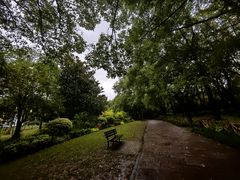 -上海共青森林公园