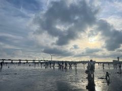 -南汇新城海滩