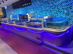 蒸海鲜-乔哥铭洋海鲜自助(皇城恒隆广场店)