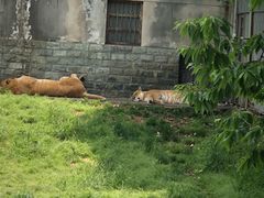 -西安秦岭野生动物园