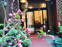 -龙源茶坊(白银路店)