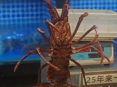-徐记海鲜(大明宫|北二环店)