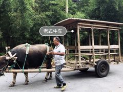 -杭州双溪漂流景区