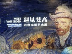 -上海梵高星空艺术馆(南京路旗舰店)