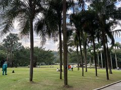 -深圳仙湖植物园