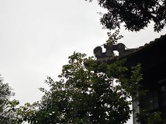 -荔湾湖公园