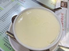 姜汁撞奶-义顺牛奶公司