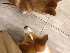 -SPARROW 家雀儿咖啡本店
