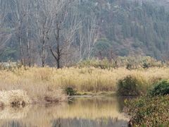 -西昌邛海湿地