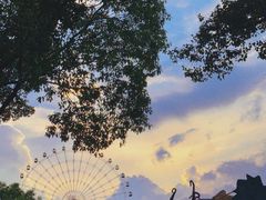-温州乐园