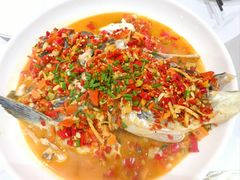 -全乐鱼馆·淳牌有机鱼直营店