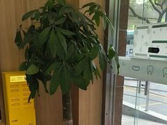 -上海仁爱医院口腔科 · 种植