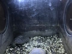 -小财盆地桌烤肉