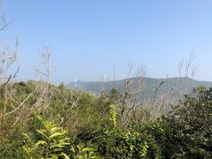 -东澳岛