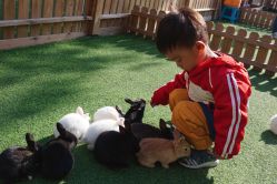 -萌宠亲子动物乐园(槐房万达店)