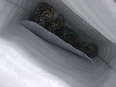 -乡乐园蟹庄·阳澄湖农家乐