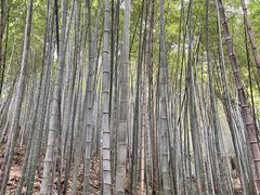 -敬亭山风景名胜区