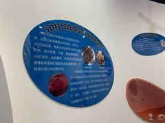 -湖南省科学技术馆