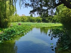 -皇家御河游(紫御湾码头)