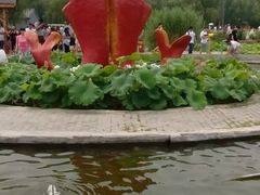 -白洋淀景区
