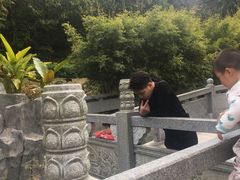 -神光山国家森林公园