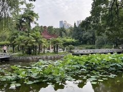-中国科技大学-专家楼食堂