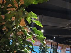 -盐帮食坊•小河帮川菜(四川师大店)