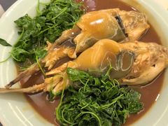 -沈灶河豚宴·河豚融合餐厅(汉中路店)
