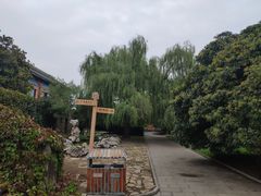 -洛阳古墓博物馆