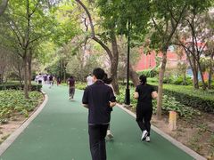 -迎泽公园